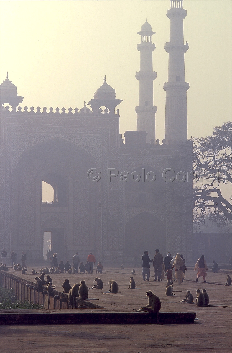 Akbar's Tomb, Agra, India
 (cod:India 44)